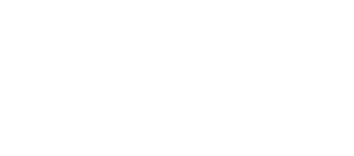 D1 Logo